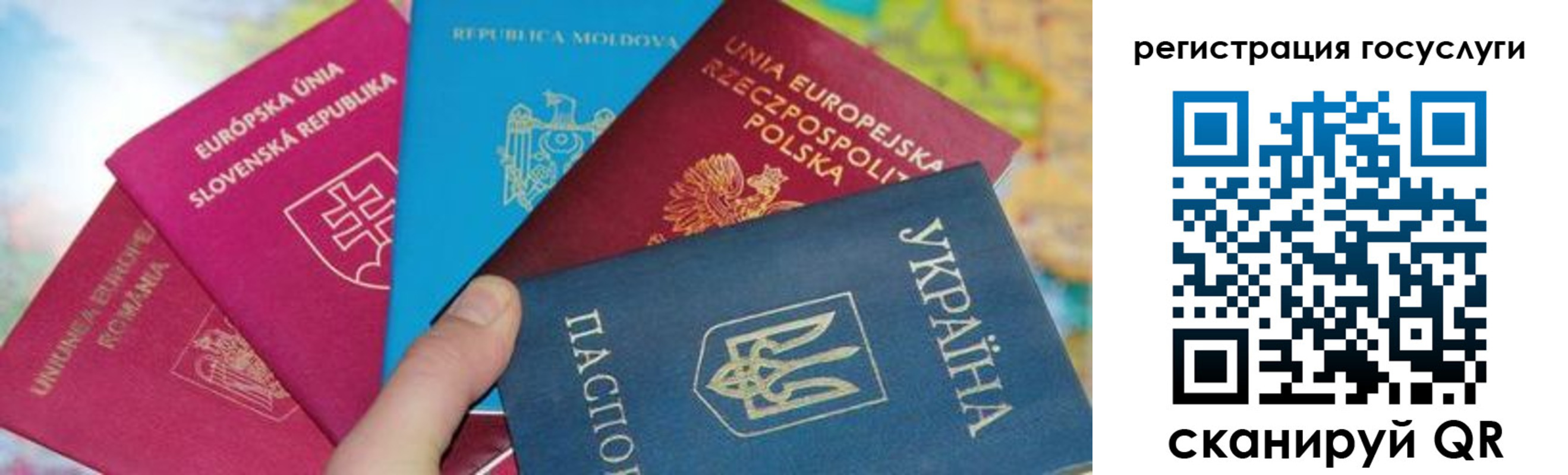 прописка гарантия в Киселёвске